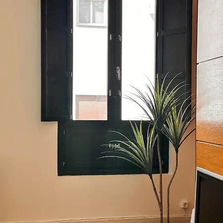 Penthouse Near Cathedral Private Rooftop Private Parking Appartement *